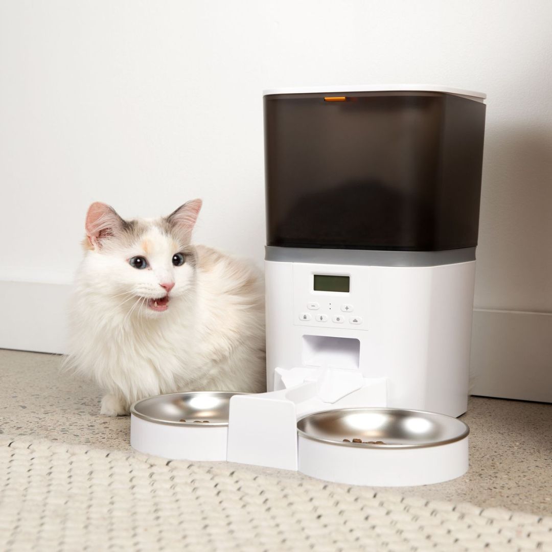 Automatic Smart Cat Feeder