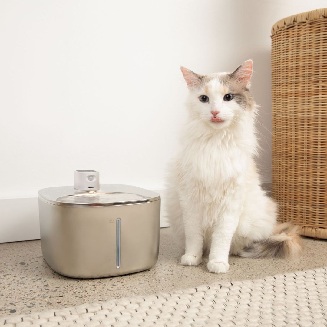 Wireless Stainless Steel Cat Fountain