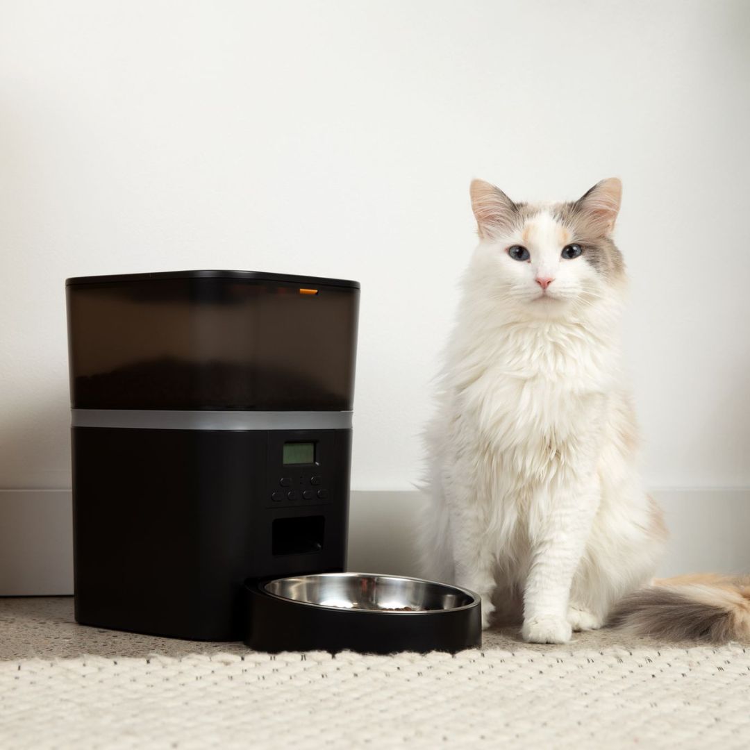 Automatic Smart Cat Feeder