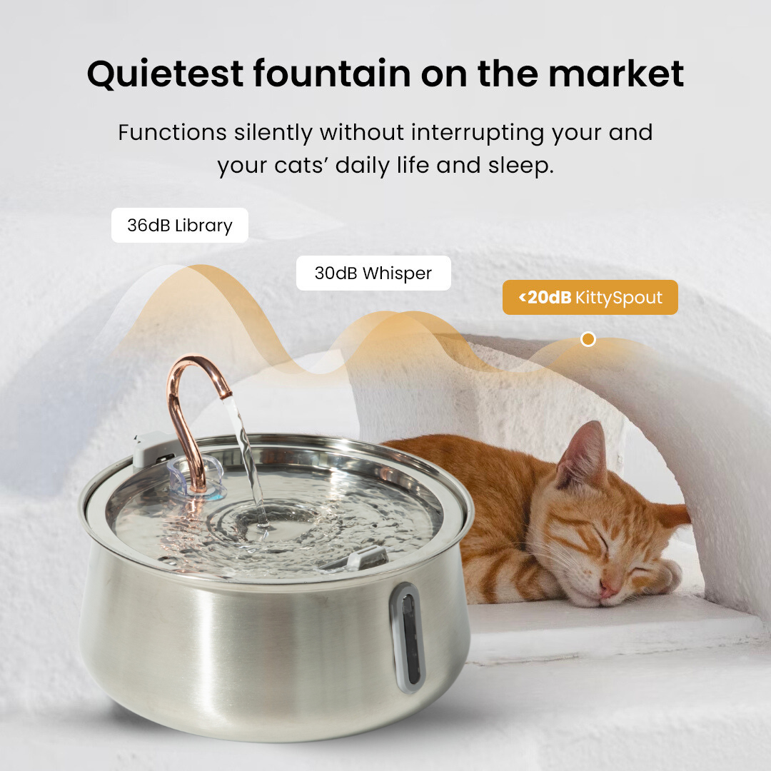 4L Fountain 2.0 Starter Kit