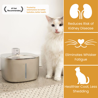 Wireless Stainless Steel Cat Fountain