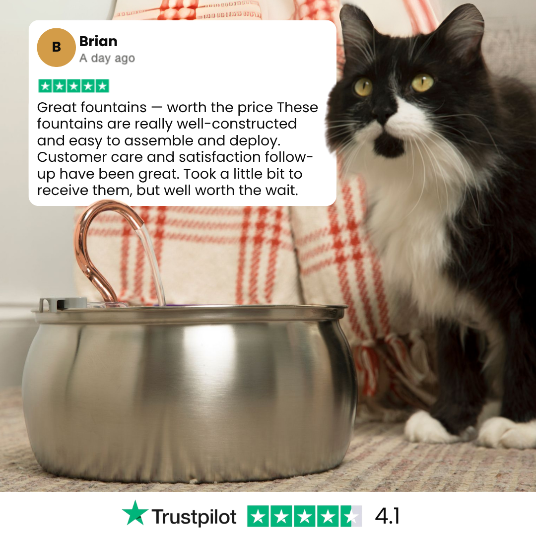 4L Stainless Steel Cat Fountain Starter Kit