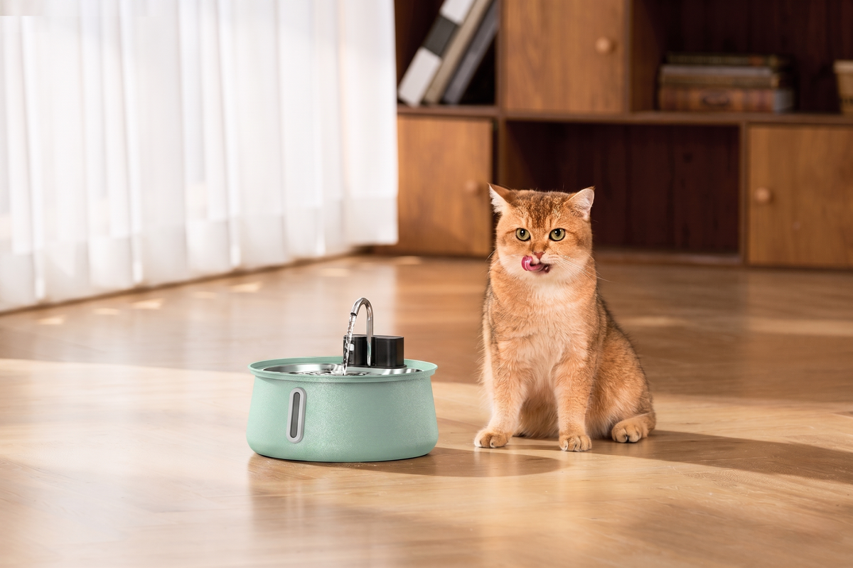 Wireless Cat Fountain 2.0