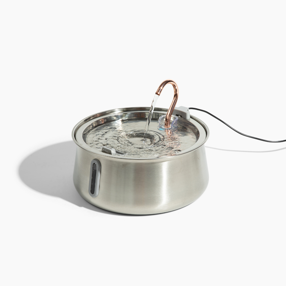 4L Fountain 2.0 Starter Kit