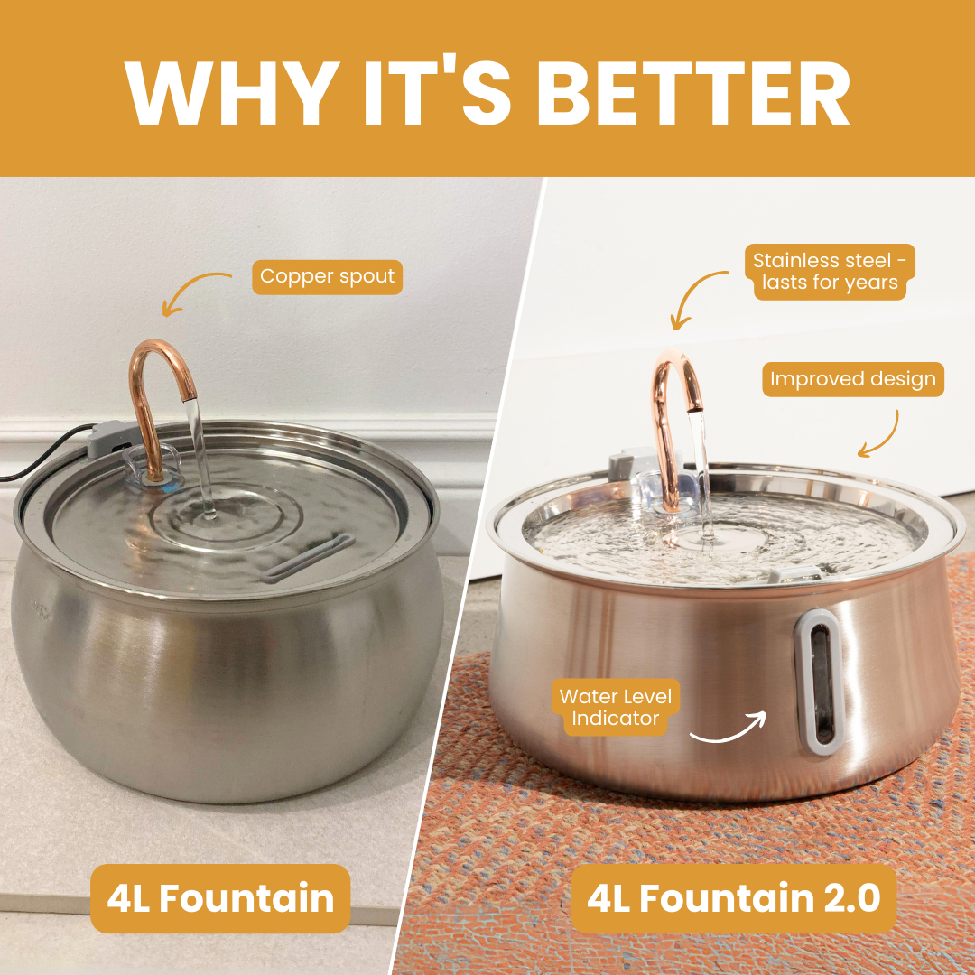 4L Fountain 2.0 Starter Kit