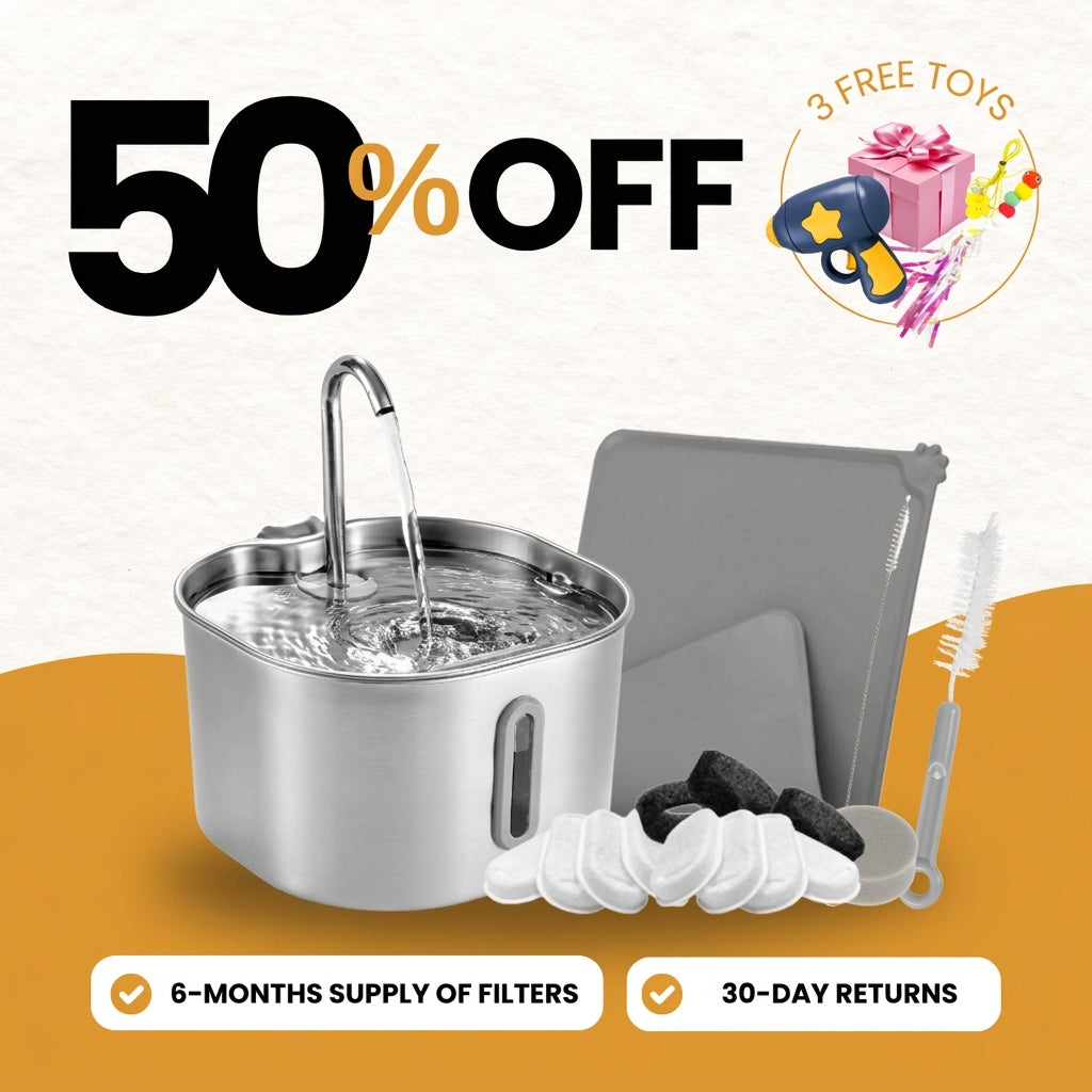 2.2L Fountain Value Bundle