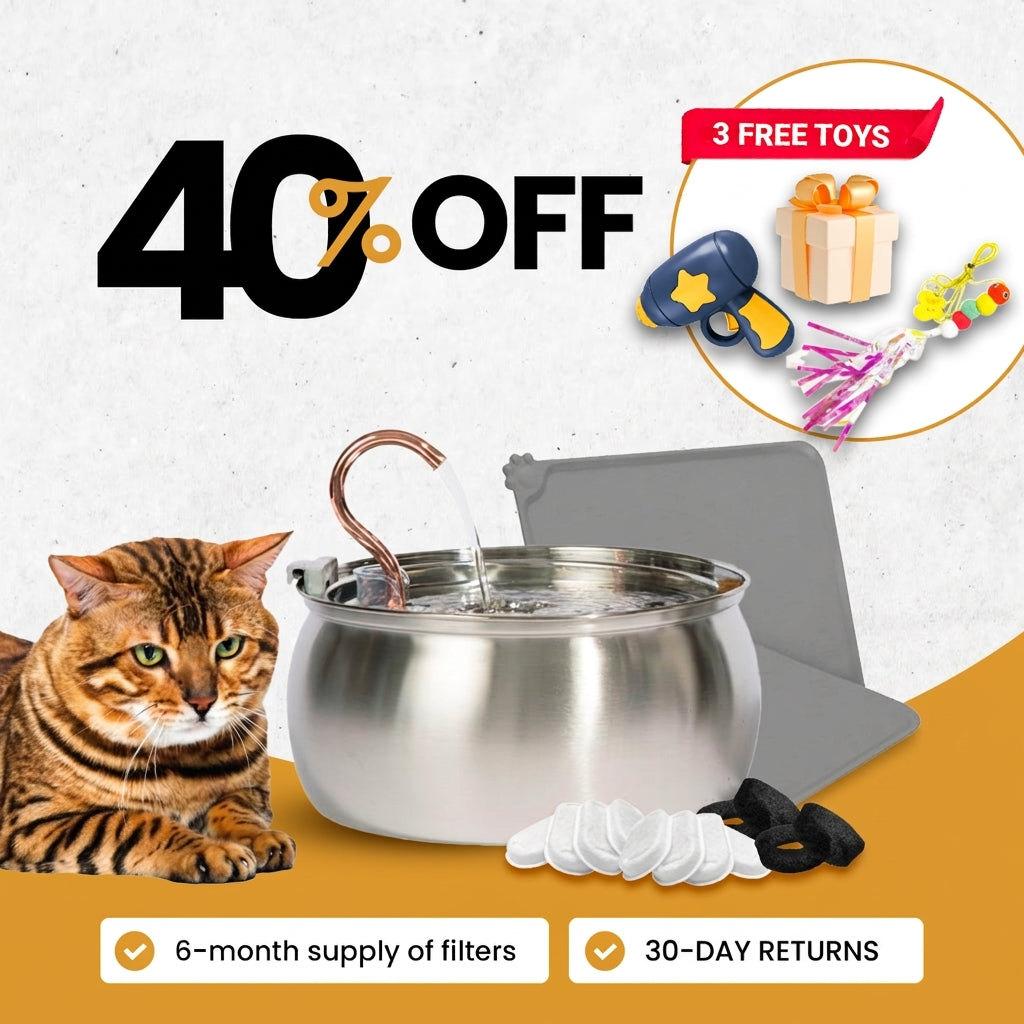 4L Fountain Value Bundle