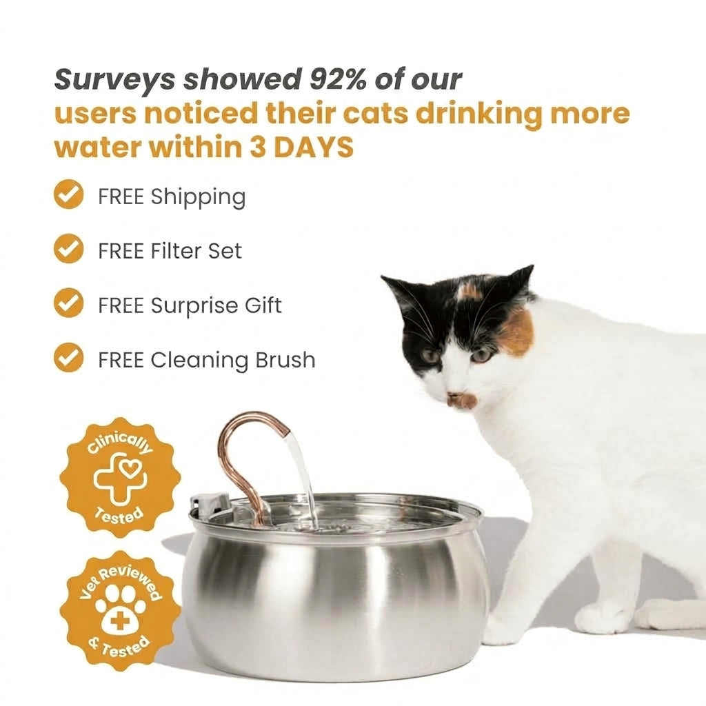 4L Stainless Steel Cat Fountain Starter Kit