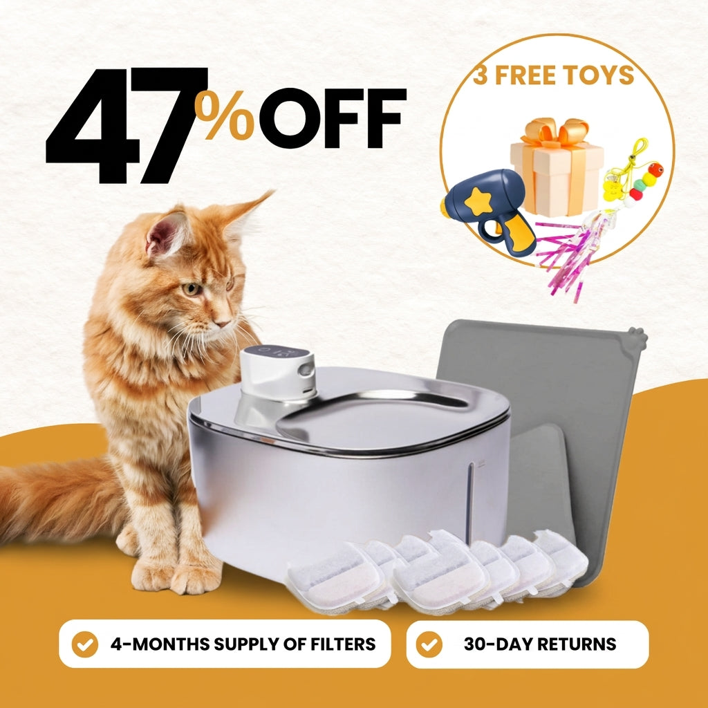Wireless Fountain Value Bundle