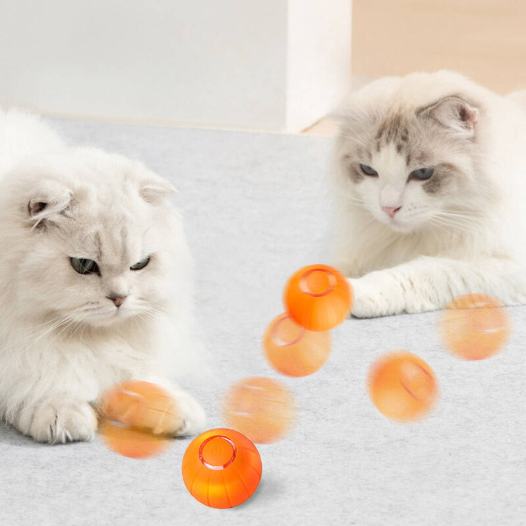 Smart Interactive Cat Ball