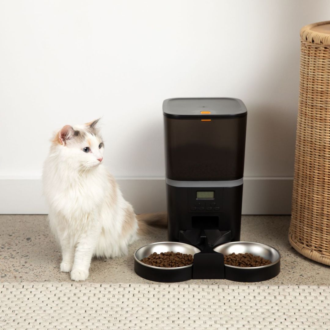Automatic Smart Cat Feeder