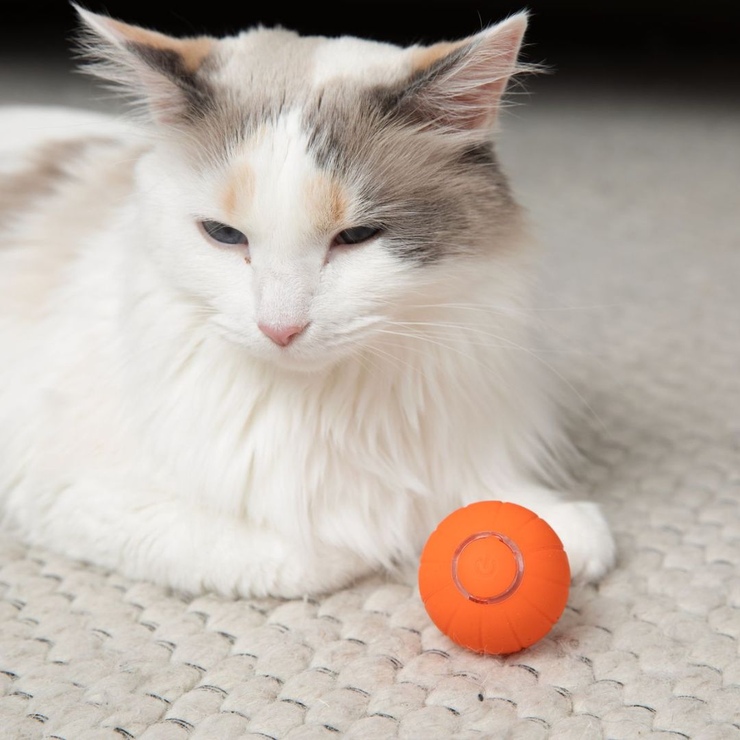 Smart Interactive Cat Ball