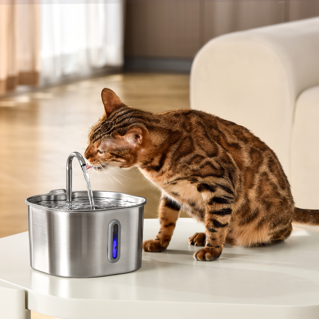 2.2L Stainless Steel Cat Fountain Starter Kit