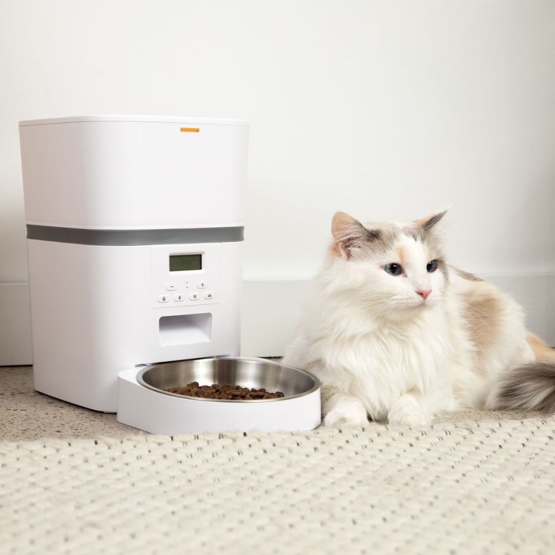 Automatic Smart Cat Feeder