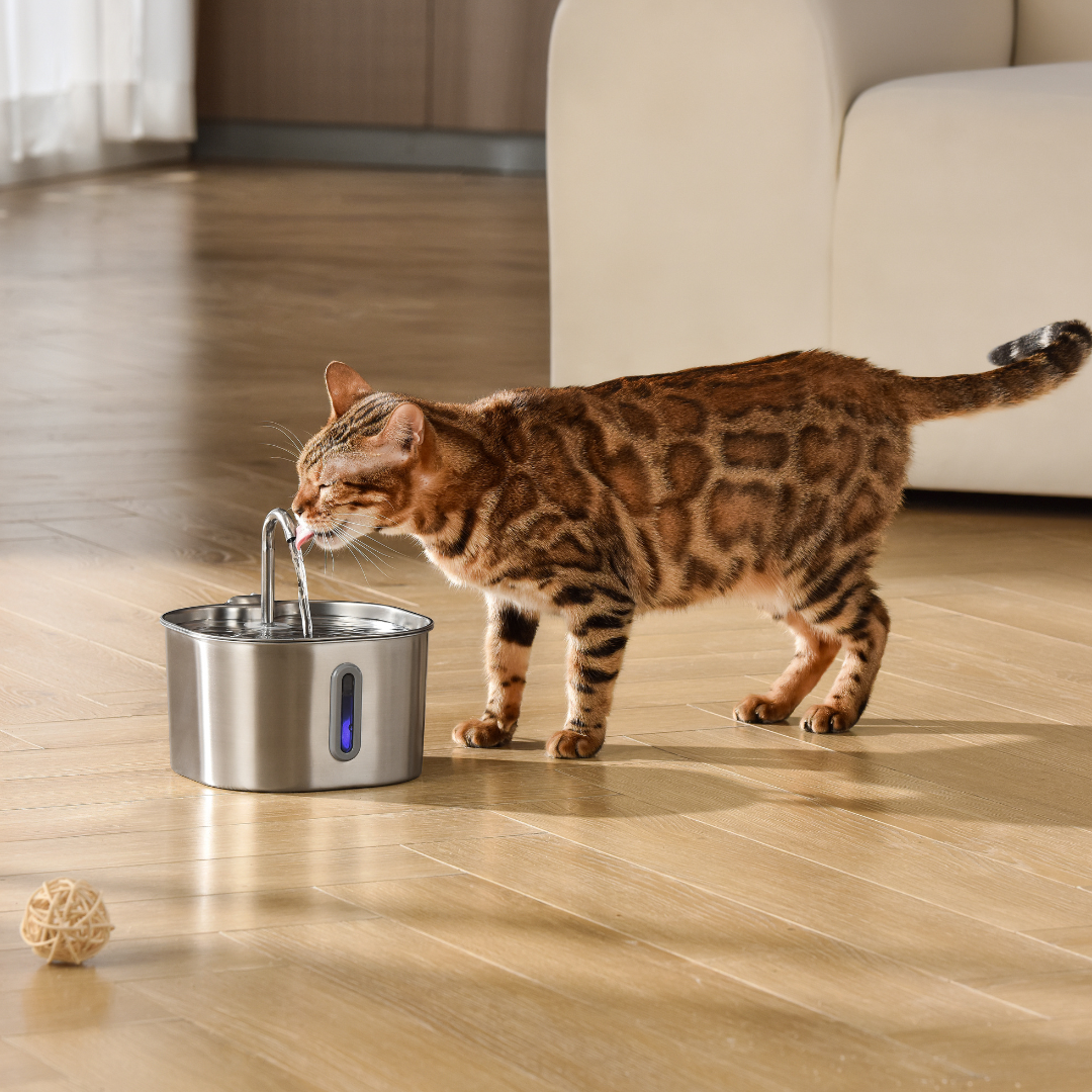 2.2L Stainless Steel Cat Fountain Starter Kit