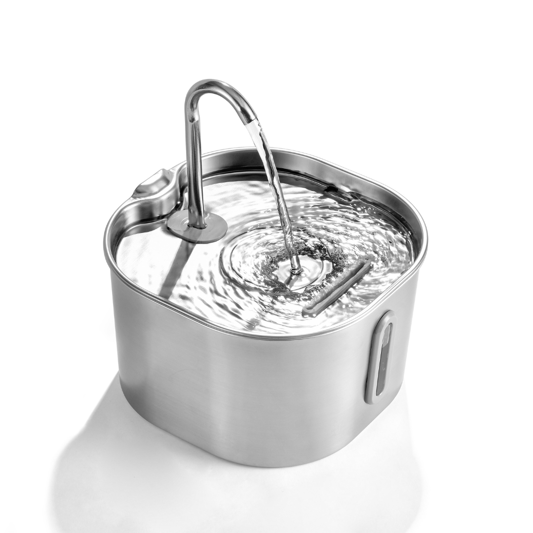 2.2L Stainless Steel Cat Fountain Starter Kit