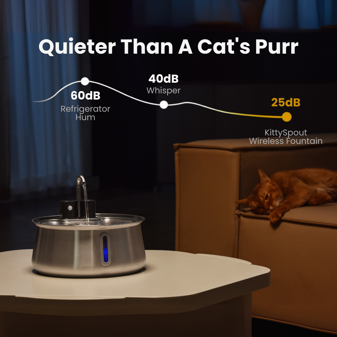 Wireless 2.0 Fountain Value Bundle