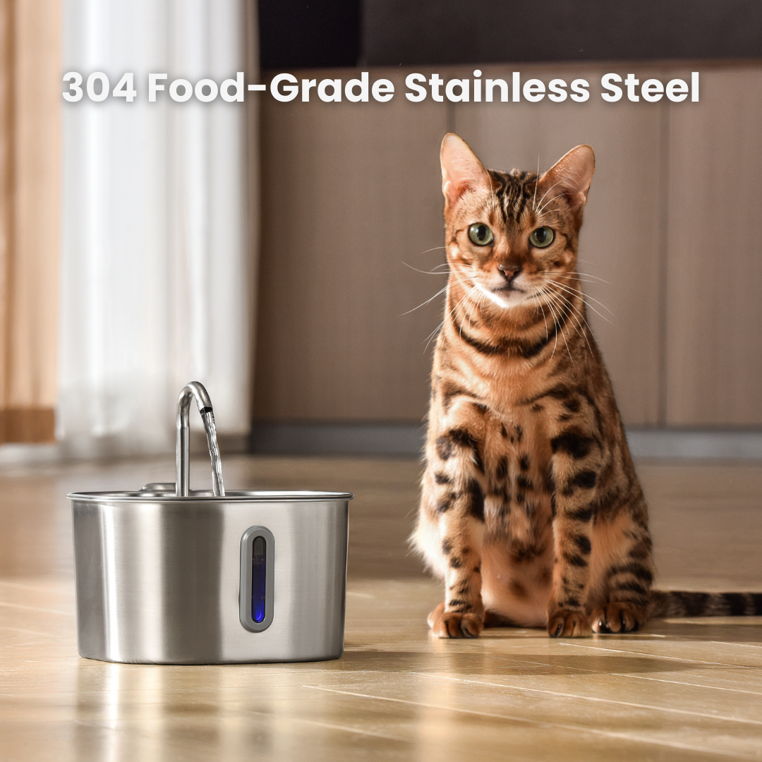 2.2L Stainless Steel Cat Fountain Starter Kit