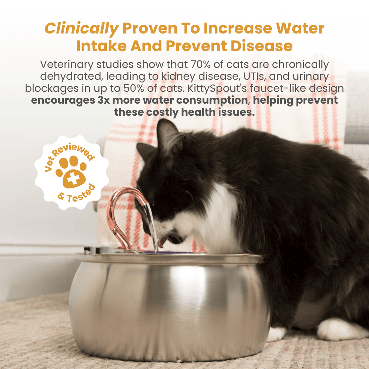 4L Fountain Multi-Cat Family Bundle