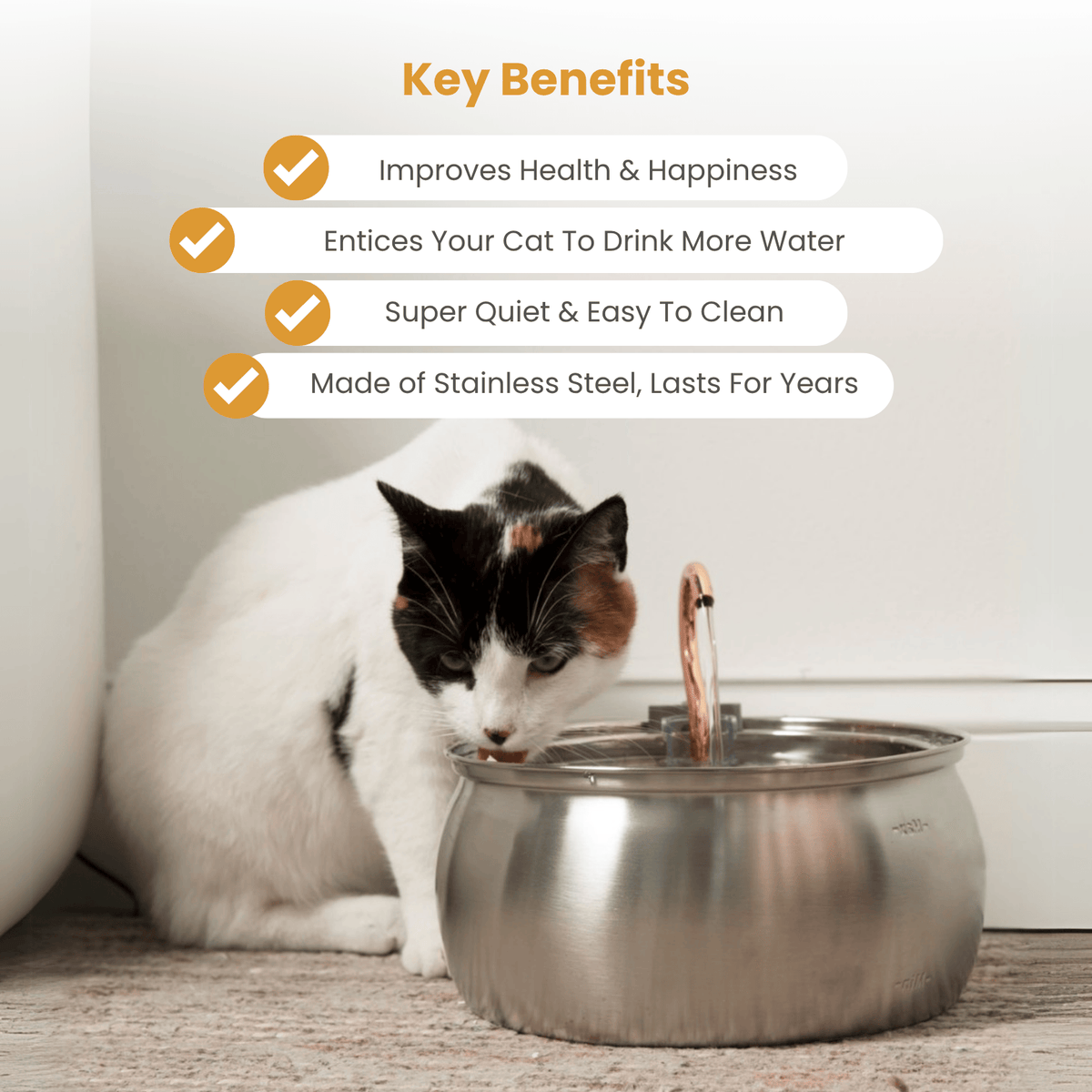 4L Stainless Steel Cat Fountain Starter Kit