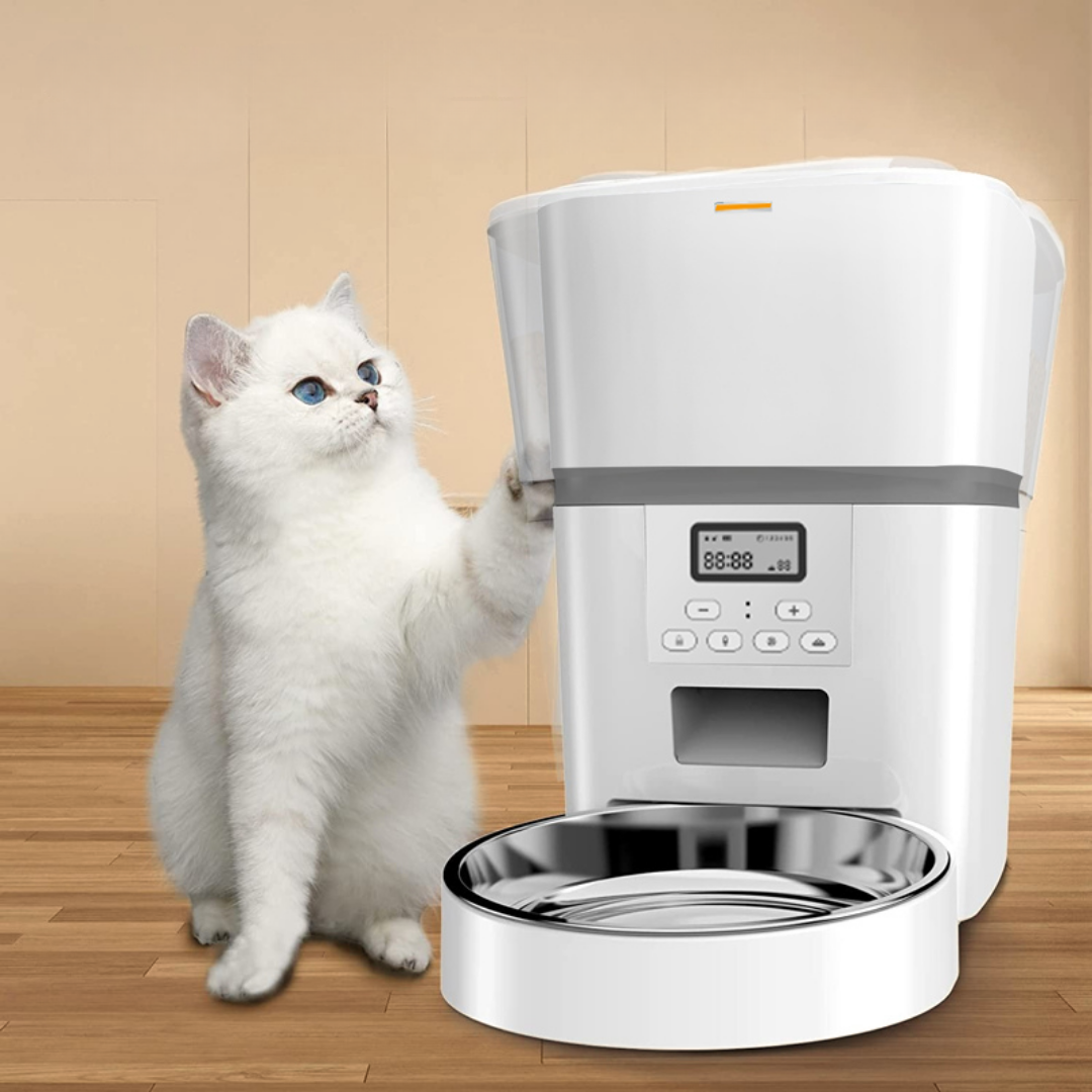 Automatic Smart Cat Feeder