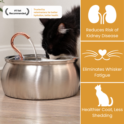 4L Stainless Steel Cat Fountain Starter Kit