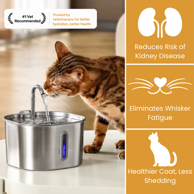 2.2L Stainless Steel Cat Fountain Starter Kit