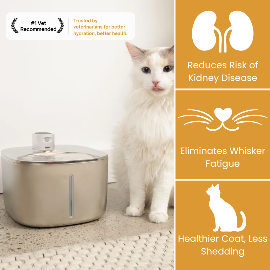 Wireless Stainless Steel Cat Fountain