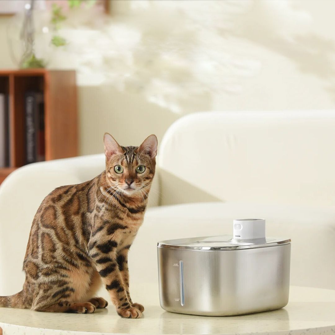 Replacement Filters for Wireless Fountain
