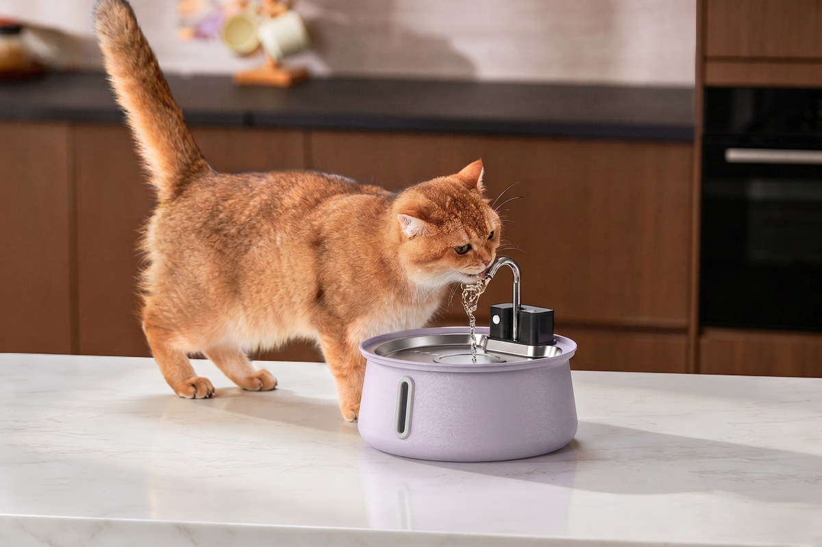 Wireless Cat Fountain 2.0
