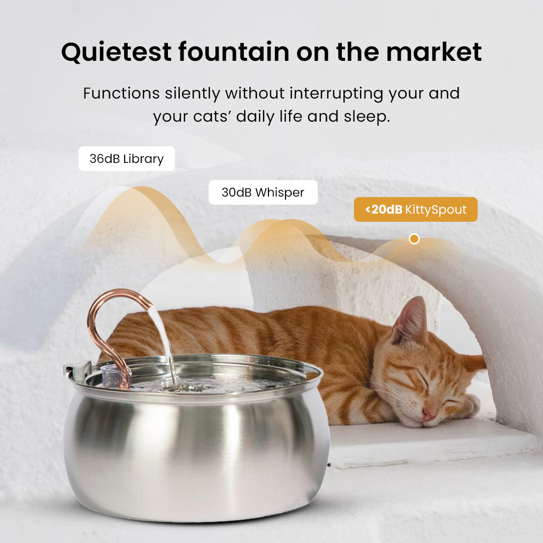 4L Fountain Hydration & Play Bundle