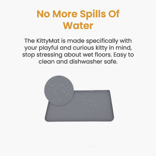 Wireless Fountain Complete Care Kit