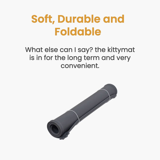 Wireless Fountain Value Bundle