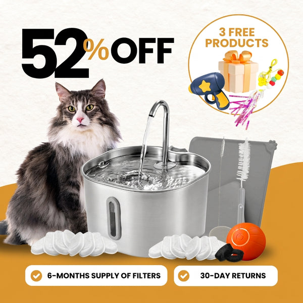 2.2L Fountain Hydration & Play Bundle