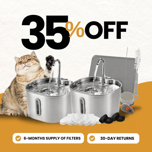 2.2L Fountain Multi-Cat Family Bundle