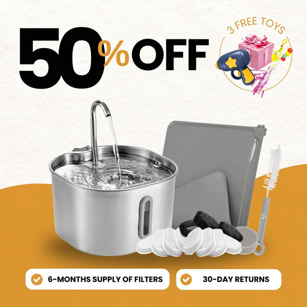 2.2L Fountain Value Bundle