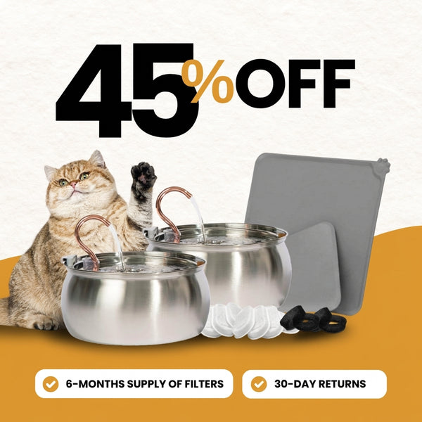 4L Fountain Multi-Cat Family Bundle