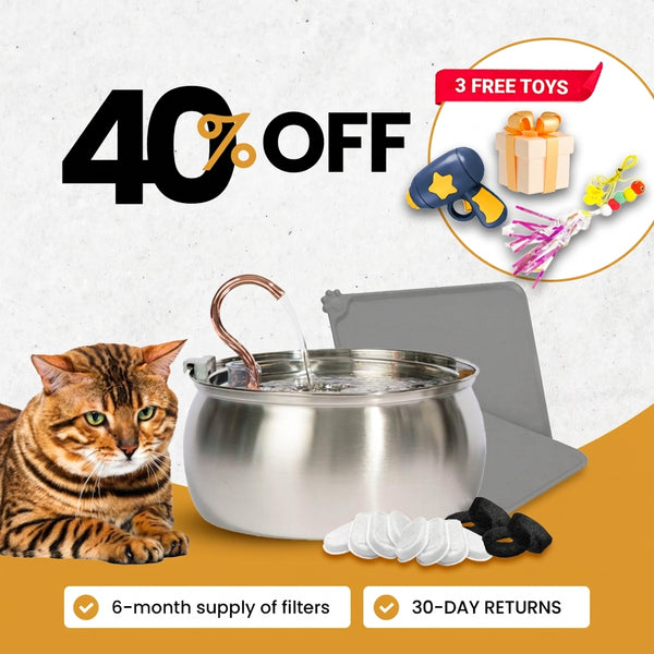 4L Fountain Value Bundle