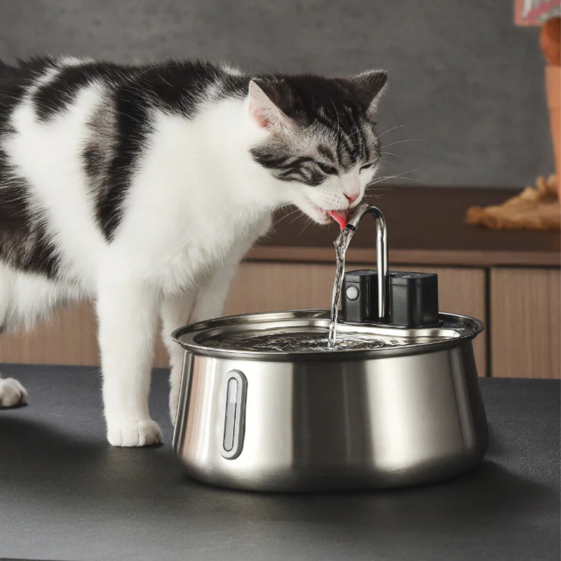 Why Our Fountain?