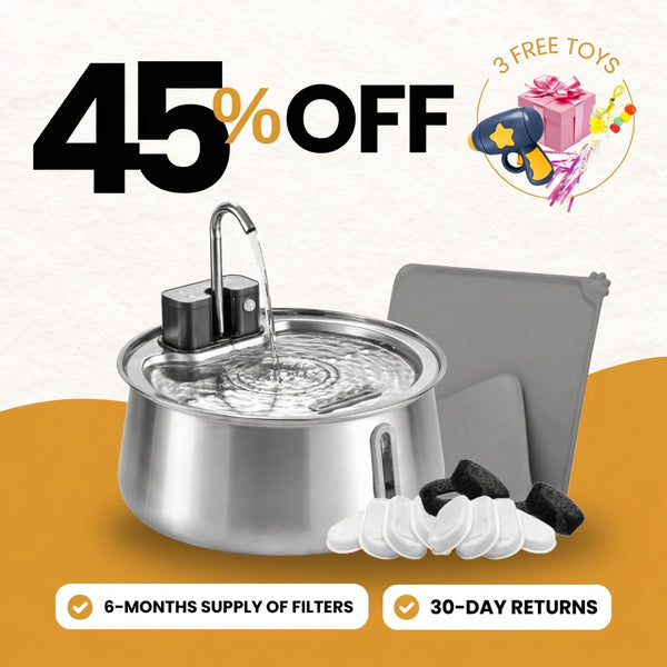 Wireless 2.0 Fountain Value Bundle