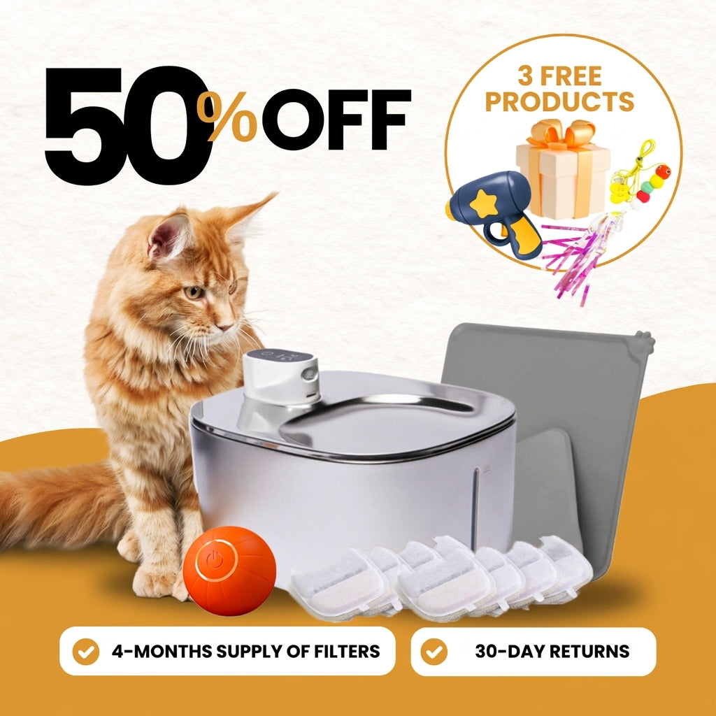 Wireless Hydration & Play Bundle